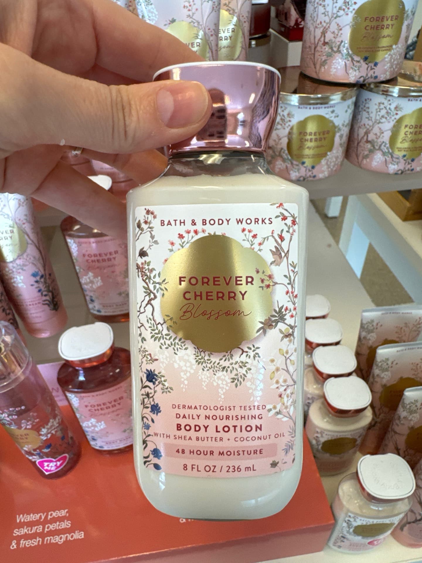 Forever Cherry Blossom Body Lotion