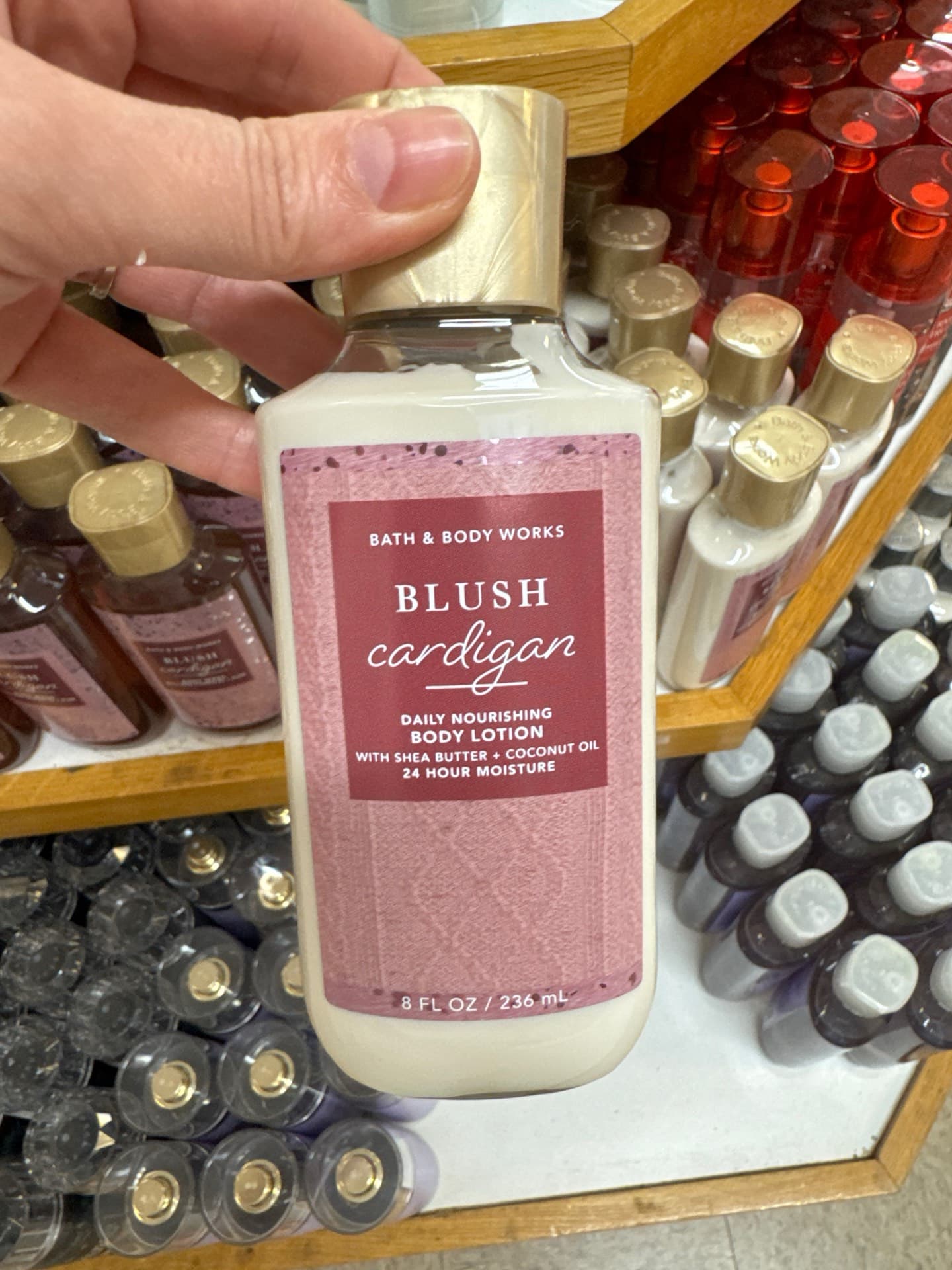 Blush Cardigan Body Lotion