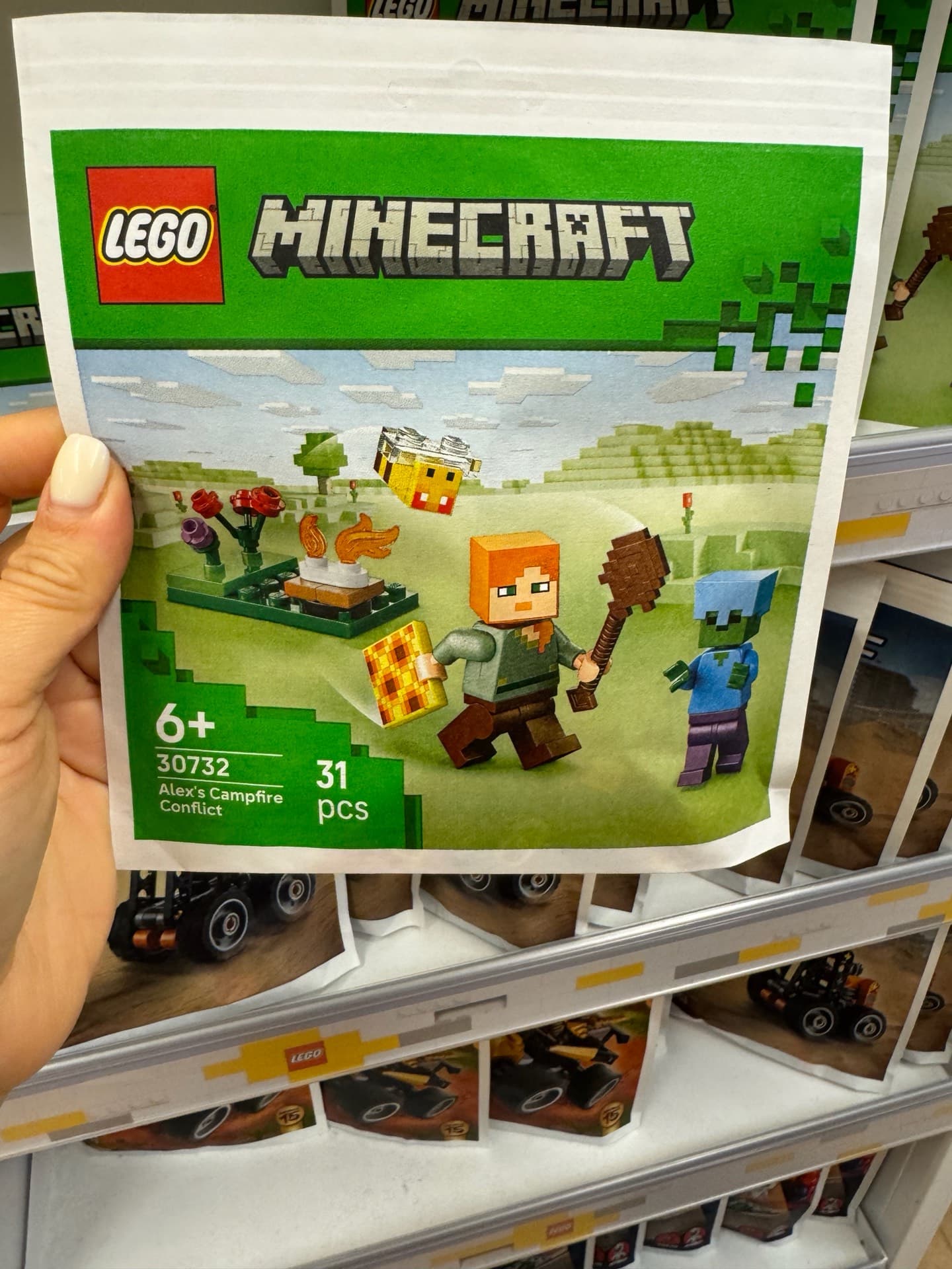 LEGO Minecraft Alex's Campfire Conflict