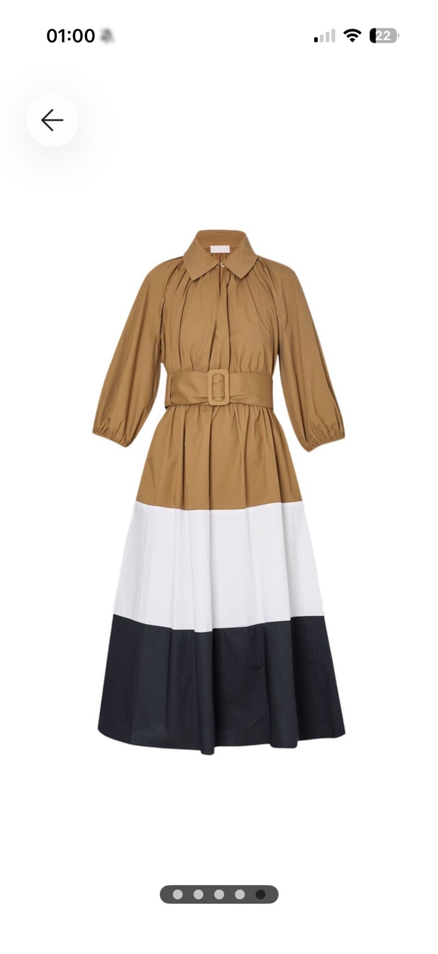 Trendy Color-Block Dress