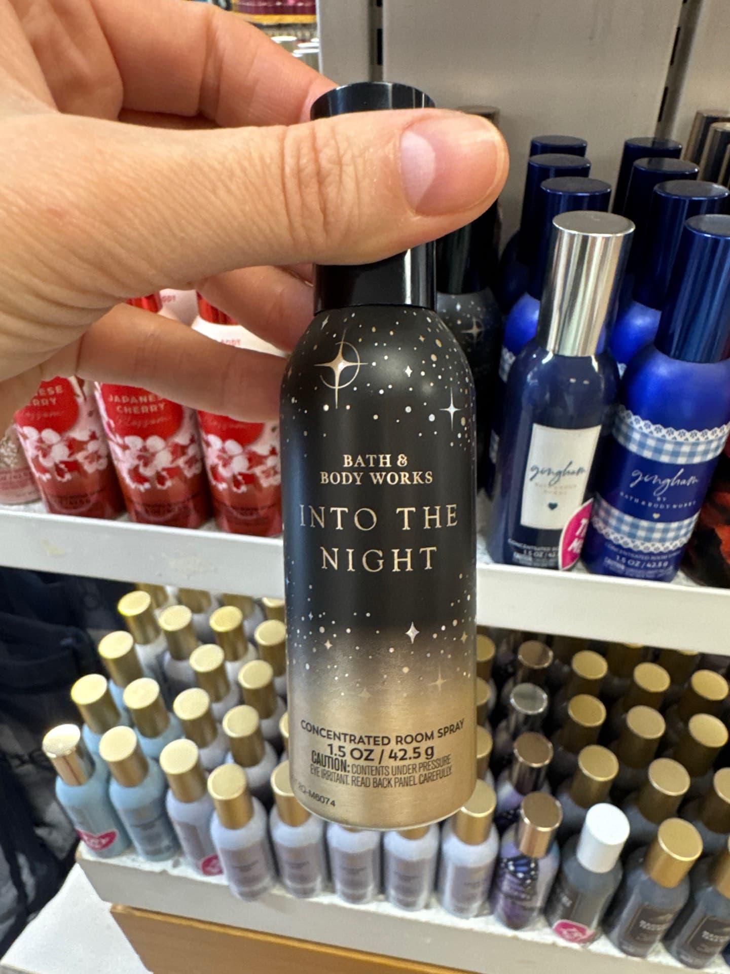 Into The Night Room Spray