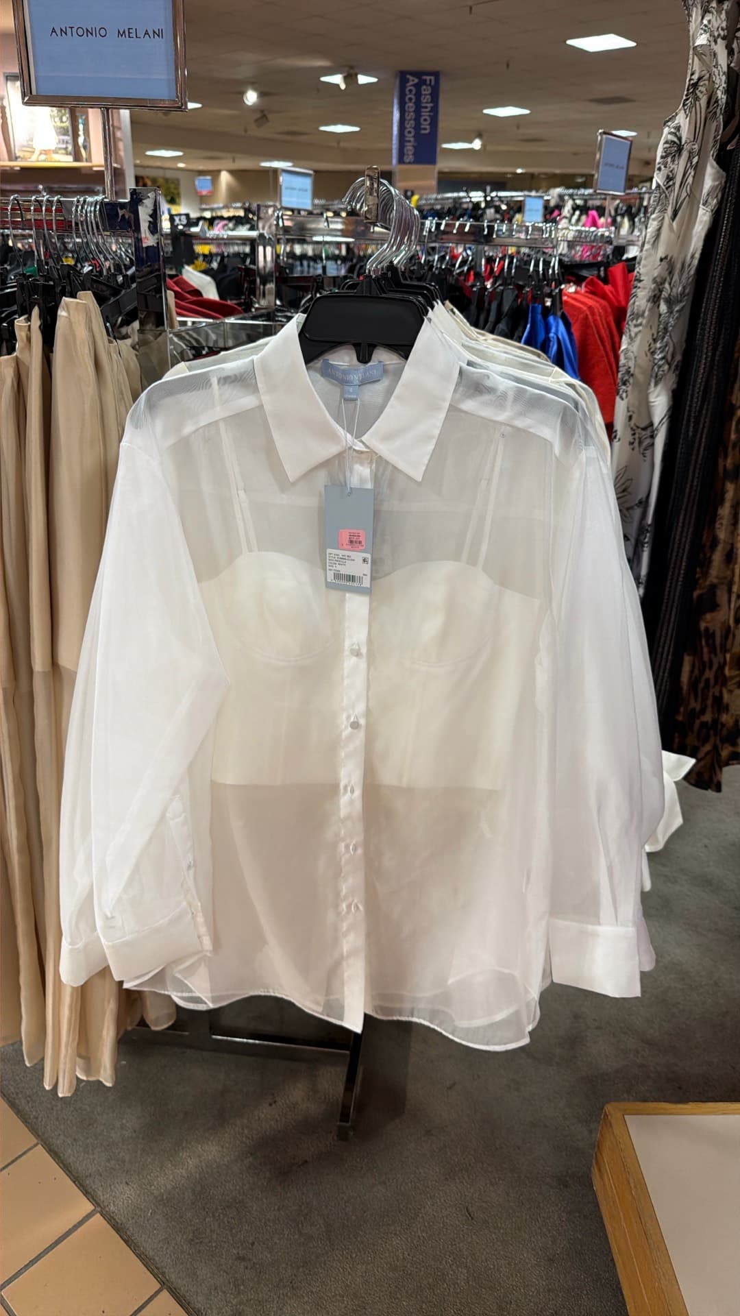 Chic Sheer Blouse