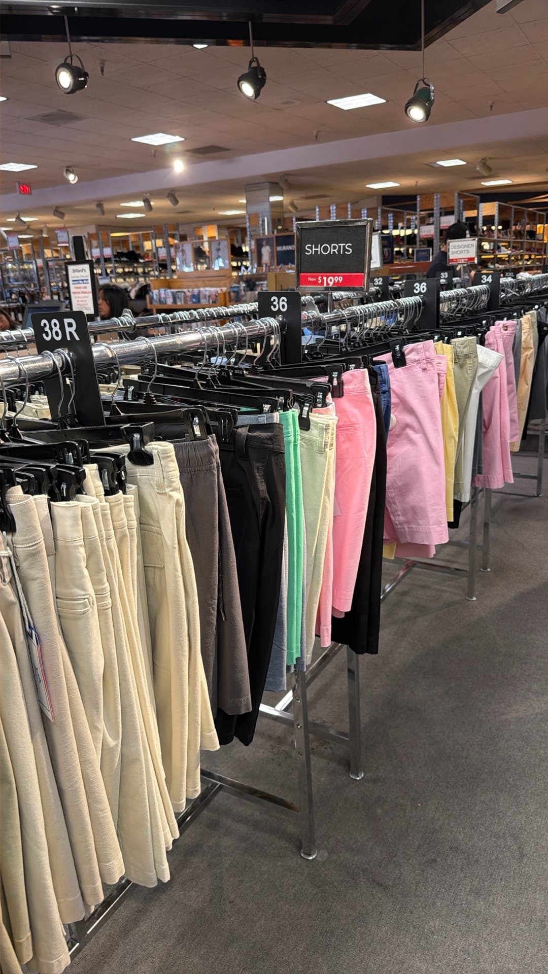 Stylish Shorts Collection